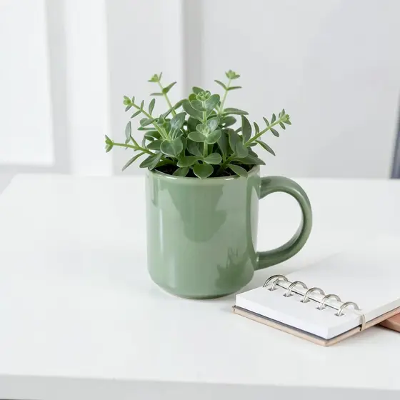 Green ceramic mug holding a plant next to a notebook on a white desk